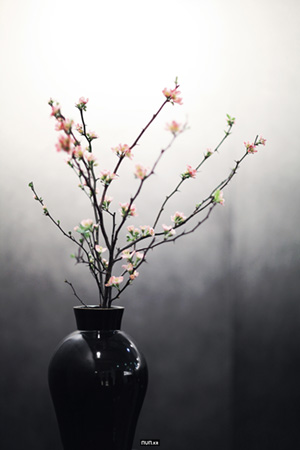 Object, flower, vase, Korean picture, art, 오브제, 꽃병, 꽃, 수묵화, 한국화, 예술