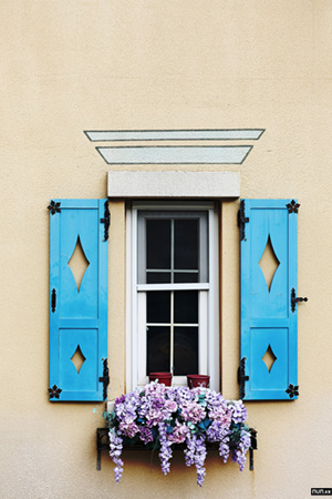 Object, flower, wall, house, Korea,집, 담, 오브제, 꽃